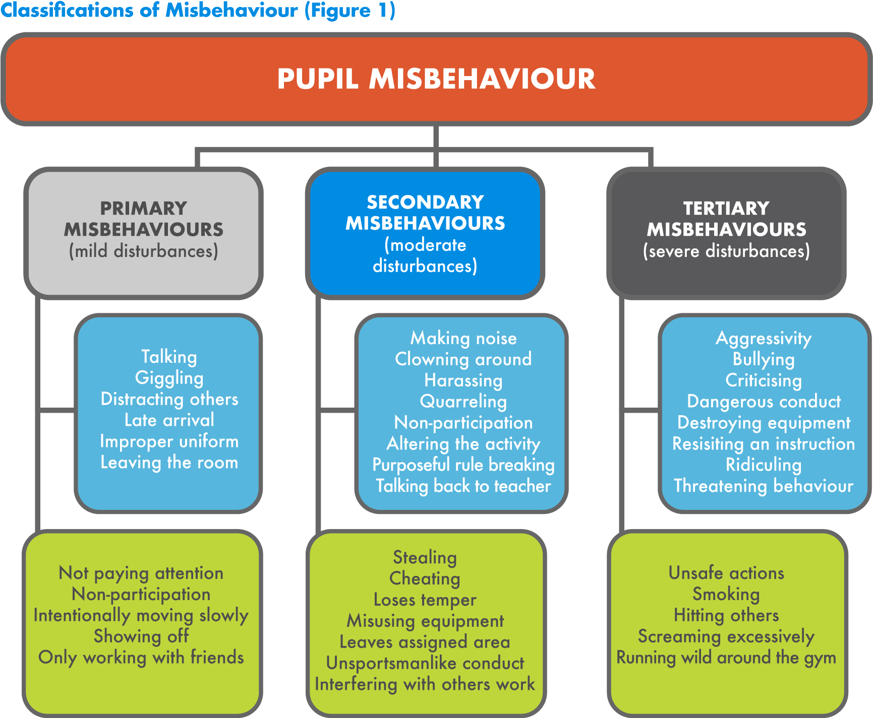 Table with the varying types of misbehaviour in the classroom and for Physical Education